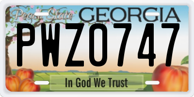 GA license plate PWZ0747