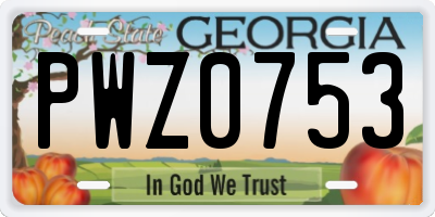 GA license plate PWZ0753