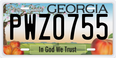GA license plate PWZ0755