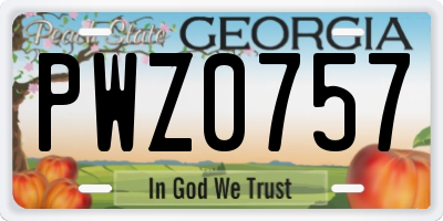 GA license plate PWZ0757