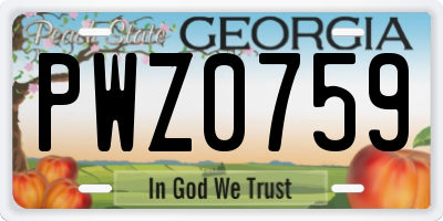 GA license plate PWZ0759