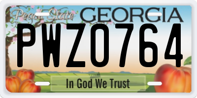 GA license plate PWZ0764