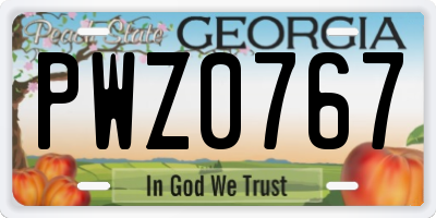 GA license plate PWZ0767