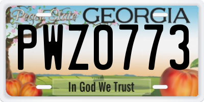 GA license plate PWZ0773