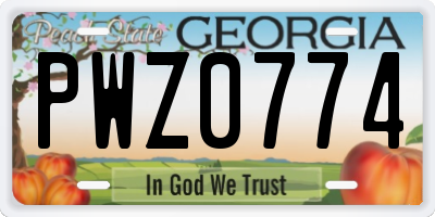 GA license plate PWZ0774