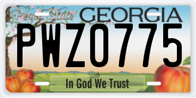 GA license plate PWZ0775