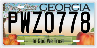 GA license plate PWZ0778