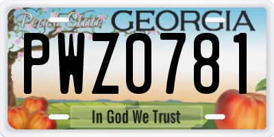 GA license plate PWZ0781
