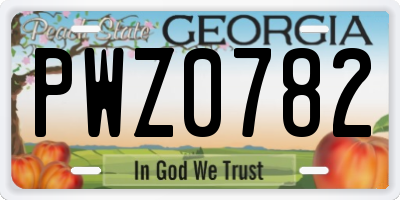 GA license plate PWZ0782