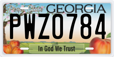 GA license plate PWZ0784