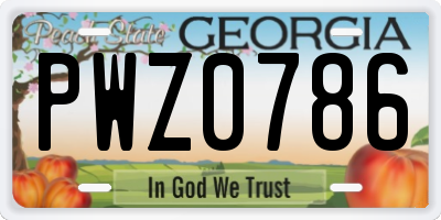 GA license plate PWZ0786
