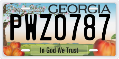 GA license plate PWZ0787