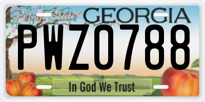 GA license plate PWZ0788