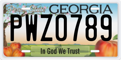 GA license plate PWZ0789
