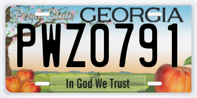 GA license plate PWZ0791