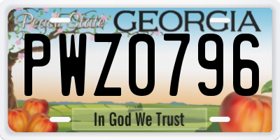 GA license plate PWZ0796