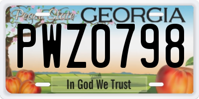 GA license plate PWZ0798