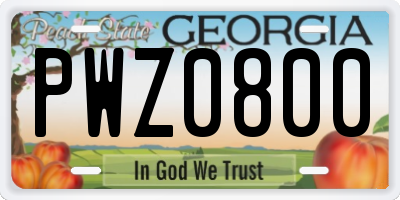 GA license plate PWZ0800