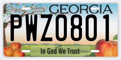 GA license plate PWZ0801