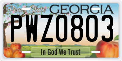 GA license plate PWZ0803