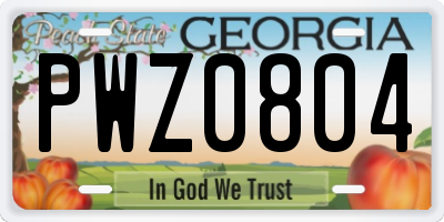 GA license plate PWZ0804