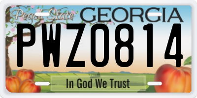 GA license plate PWZ0814