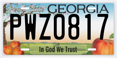 GA license plate PWZ0817