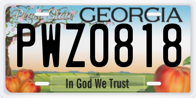 GA license plate PWZ0818