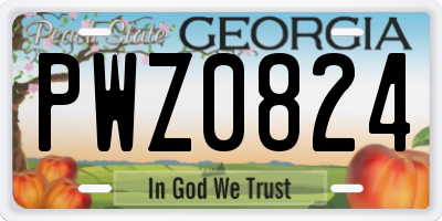 GA license plate PWZ0824