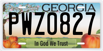 GA license plate PWZ0827