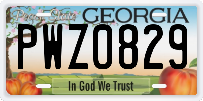 GA license plate PWZ0829