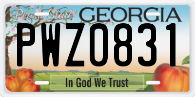 GA license plate PWZ0831