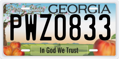 GA license plate PWZ0833