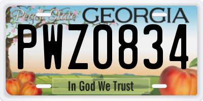 GA license plate PWZ0834