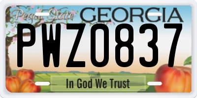 GA license plate PWZ0837