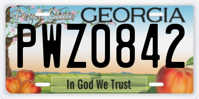 GA license plate PWZ0842