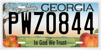 GA license plate PWZ0844