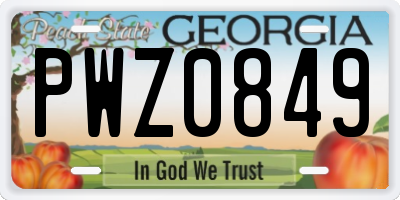 GA license plate PWZ0849