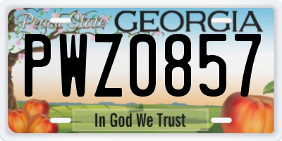 GA license plate PWZ0857