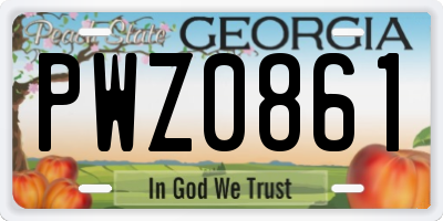 GA license plate PWZ0861