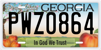 GA license plate PWZ0864