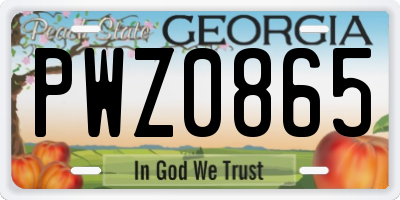 GA license plate PWZ0865