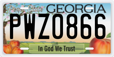 GA license plate PWZ0866