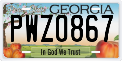 GA license plate PWZ0867