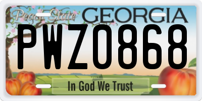 GA license plate PWZ0868