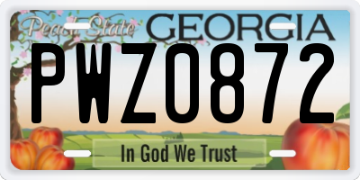 GA license plate PWZ0872