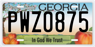 GA license plate PWZ0875