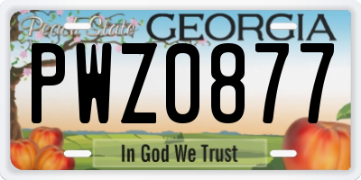 GA license plate PWZ0877