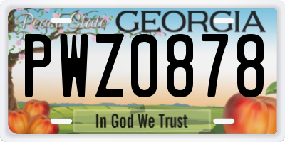 GA license plate PWZ0878