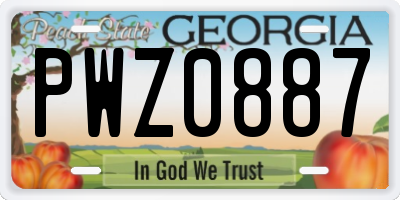 GA license plate PWZ0887